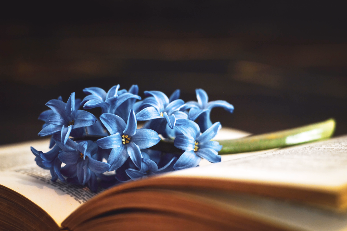 Funeral service background image
